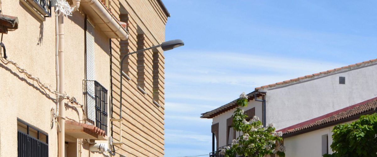 El nuevo rural project